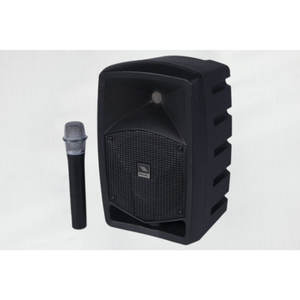 Haut parleur sur batterie, 100w avec un micro sans fil